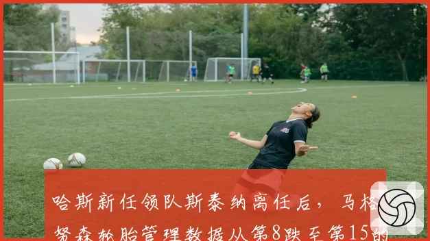 哈斯新任领队斯泰纳离任后,马格努森轮胎管理数据从第8跌至第15的断层