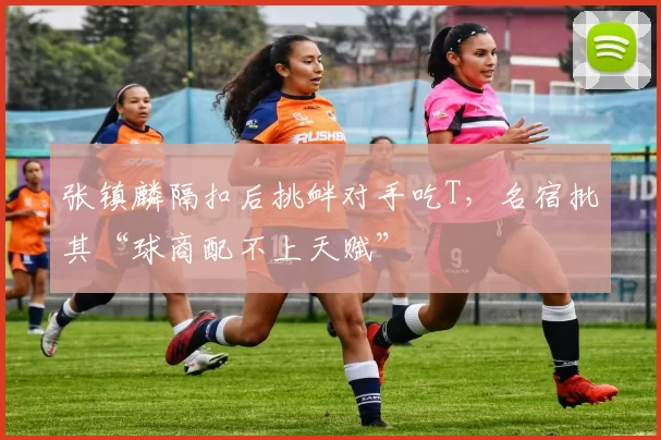 张镇麟隔扣后挑衅对手吃T，名宿批其“球商配不上天赋”