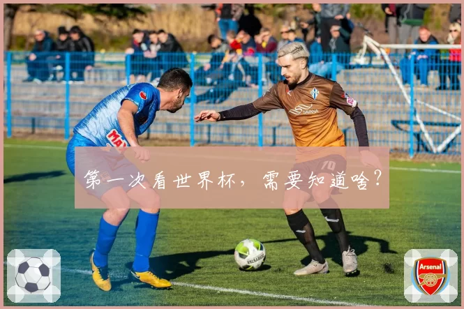 第一次看世界杯，需要知道啥？