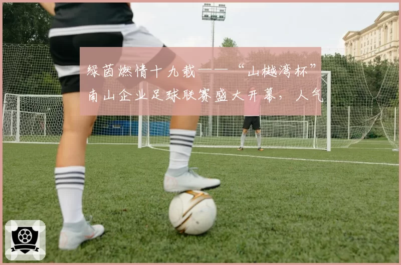绿茵燃情十九载——“山樾湾杯”南山企业足球联赛盛大开幕，人气榜投票火热开启