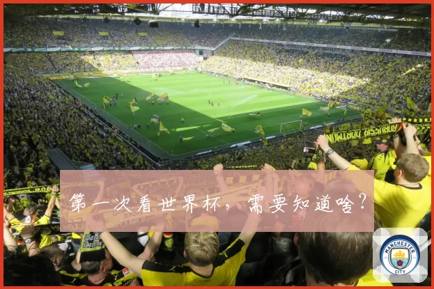 第一次看世界杯，需要知道啥？