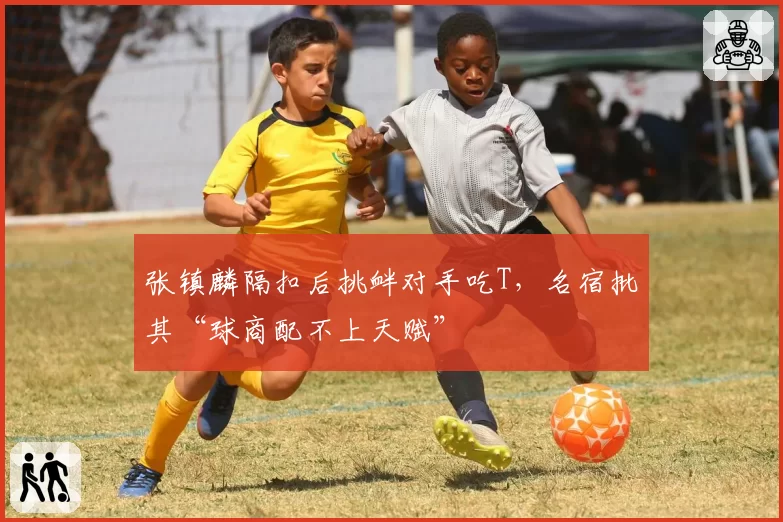 张镇麟隔扣后挑衅对手吃T，名宿批其“球商配不上天赋”